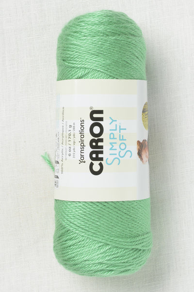 Caron Simply Soft Sage