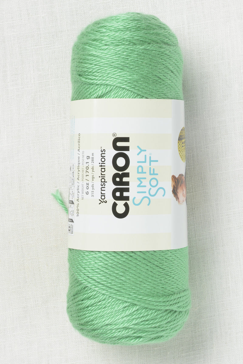 Caron Simply Soft Sage