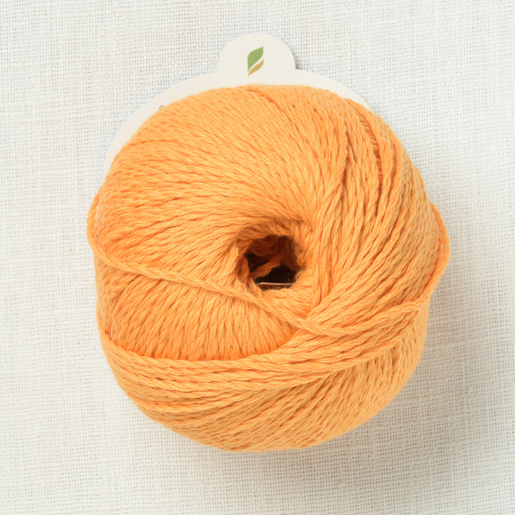 Pascuali Sole 61 Curcuma