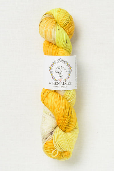 La Bien Aimee Merino Super Sock Gyeran Bap