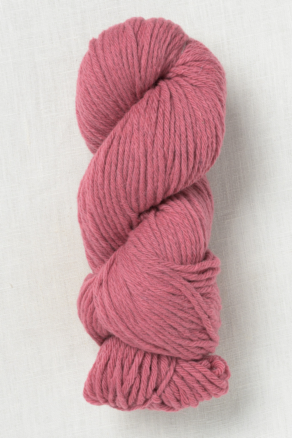 Juniper Moon Farm La Pampa 114 Rose