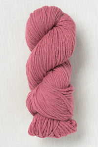 Juniper Moon Farm La Pampa 114 Rose