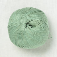 Pascuali Arctic Pearl 16 Agave