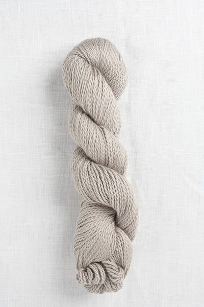 Amano Sami 1802 Fossil