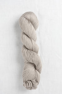 Amano Sami 1802 Fossil