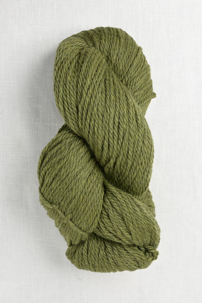 Cascade 220 Superwash Grande 1919 Turtle
