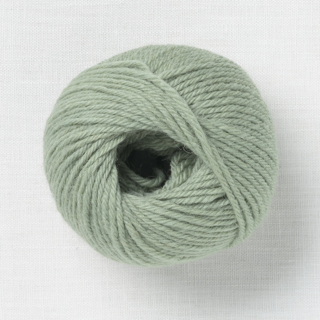 Bramble & Fleece Wooltrace DK Makers Palette Celadine