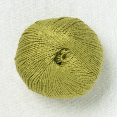 Pascuali Cumbria 327 Kiwi