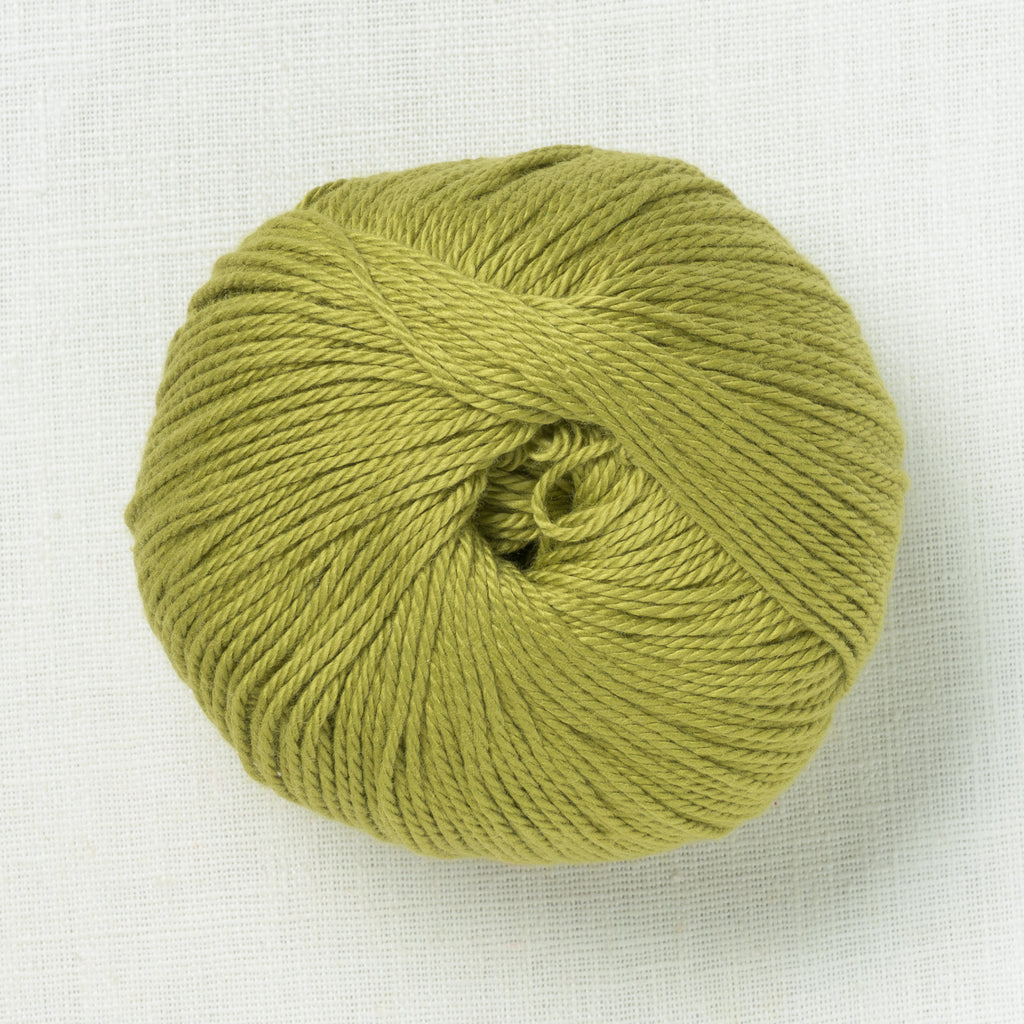 Pascuali Cumbria 327 Kiwi