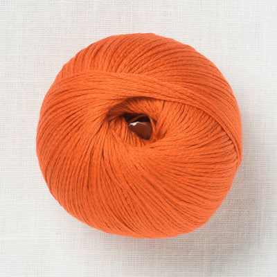 Pascuali Arctic Pearl 25 Kurkuma