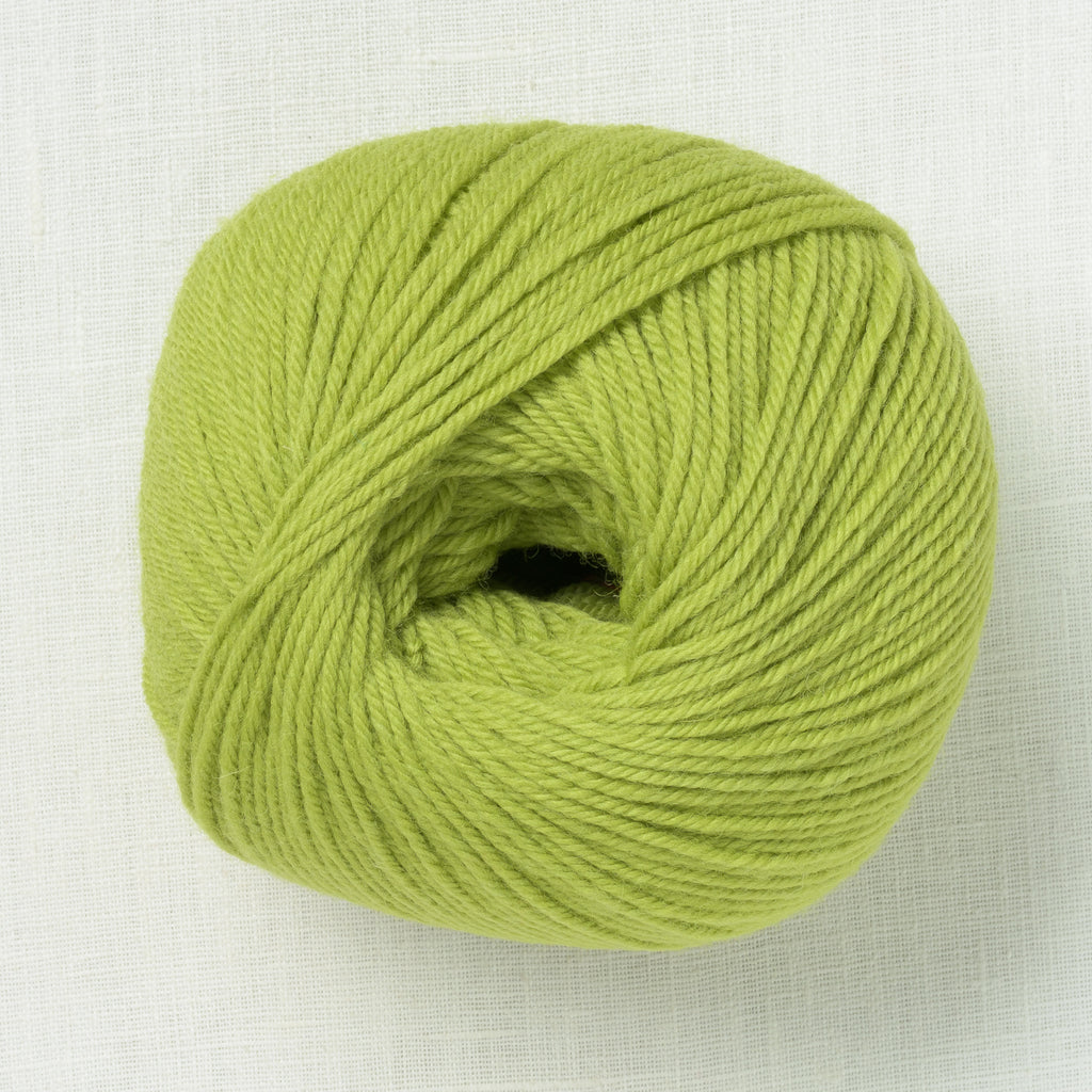 Ella Rae Superwash Classic Wool 1010 Avocado Toast