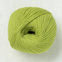 Ella Rae Superwash Classic Wool 1010 Avocado Toast