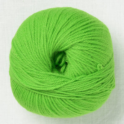 Ella Rae Superwash Classic Wool 1042 Kiwi
