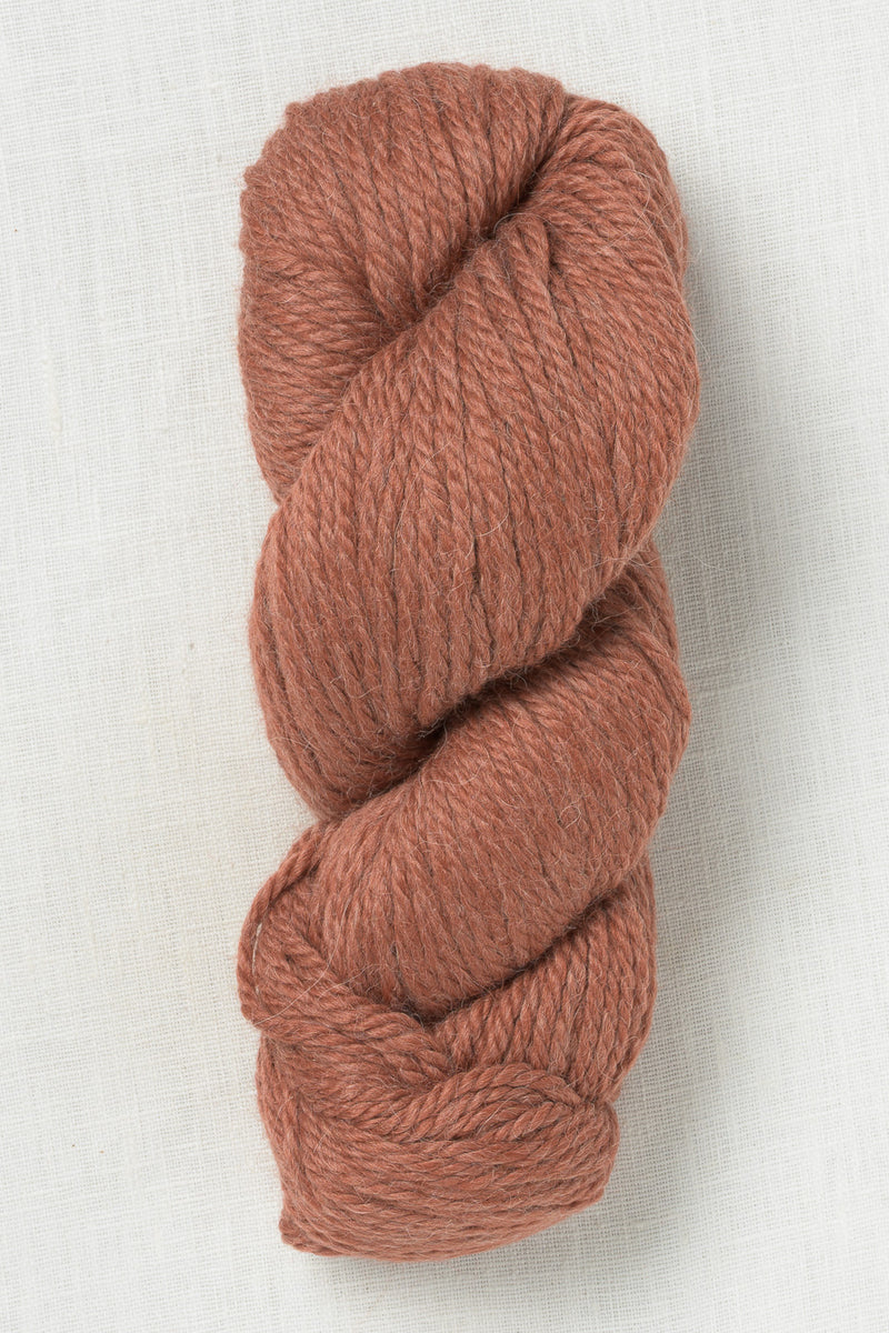 Juniper Moon Farm Herriot Great 170 Ginger Root