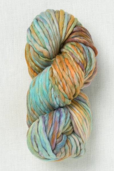 Malabrigo Rasta 274 Amphibian (New)