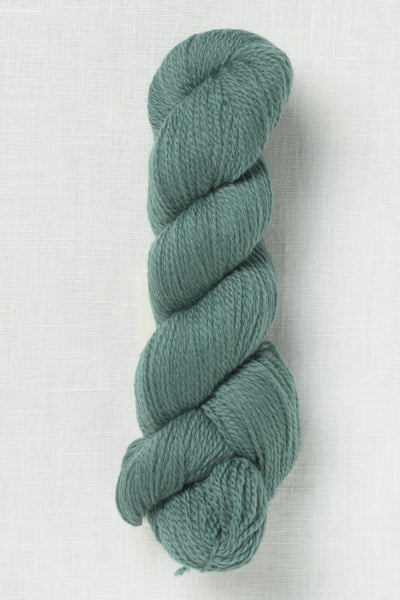 Cascade 220 Superwash Fingering 136 Silver Pine