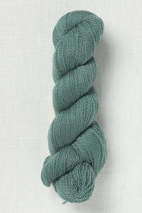 Cascade 220 Superwash Fingering 136 Silver Pine