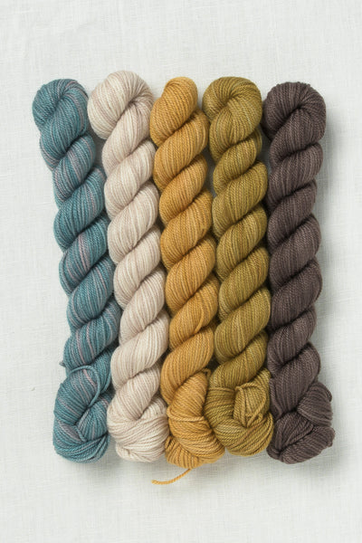 Sweet Georgia Party of Five Tough Love Sock Mini Skein Set Tofino Roadtrip