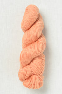 Cascade 220 Superwash Aran 304 Peach Cobbler