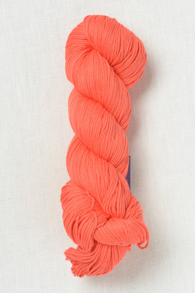 Berroco Pima 100 84102 Pimento