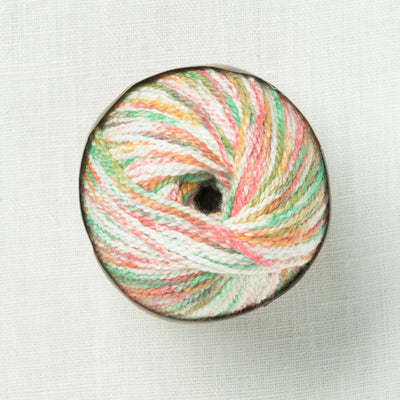 Cascade Fixation Splash 120 Spring