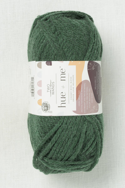 Lion Brand Hue + Me 175N Night Forest