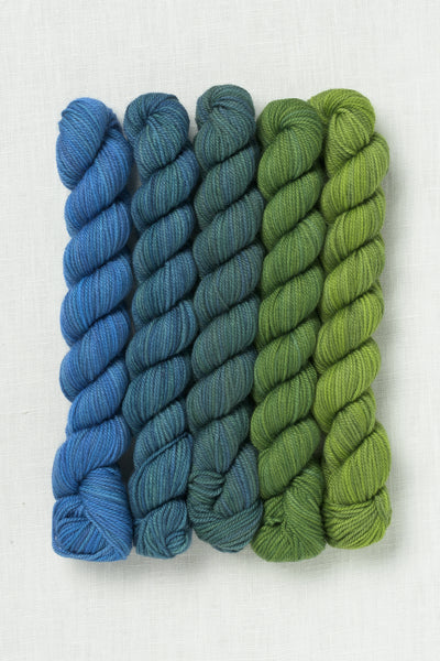 Sweet Georgia Party of Five Tough Love Sock Mini Skein Set Sea to Sky