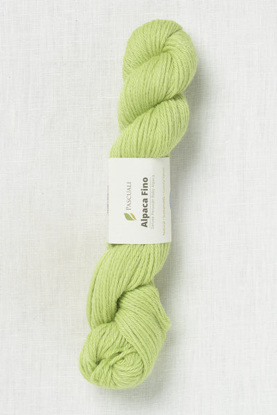 Pascuali Alpaca Fino 71 Pistachio