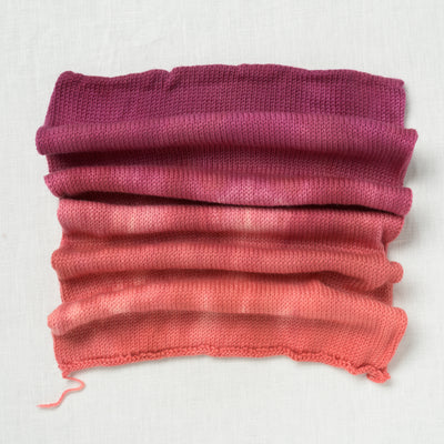 Sweet Georgia Sock Yarn Blank Bloom & Blossom