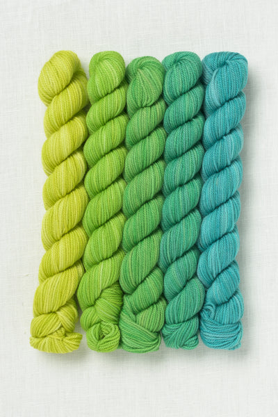 Sweet Georgia Party of Five Tough Love Sock Mini Skein Set Picnic in the Park