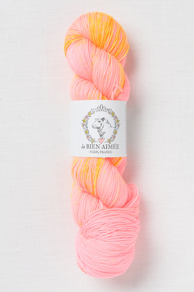 La Bien Aimee Merino Super Sock Vibin'