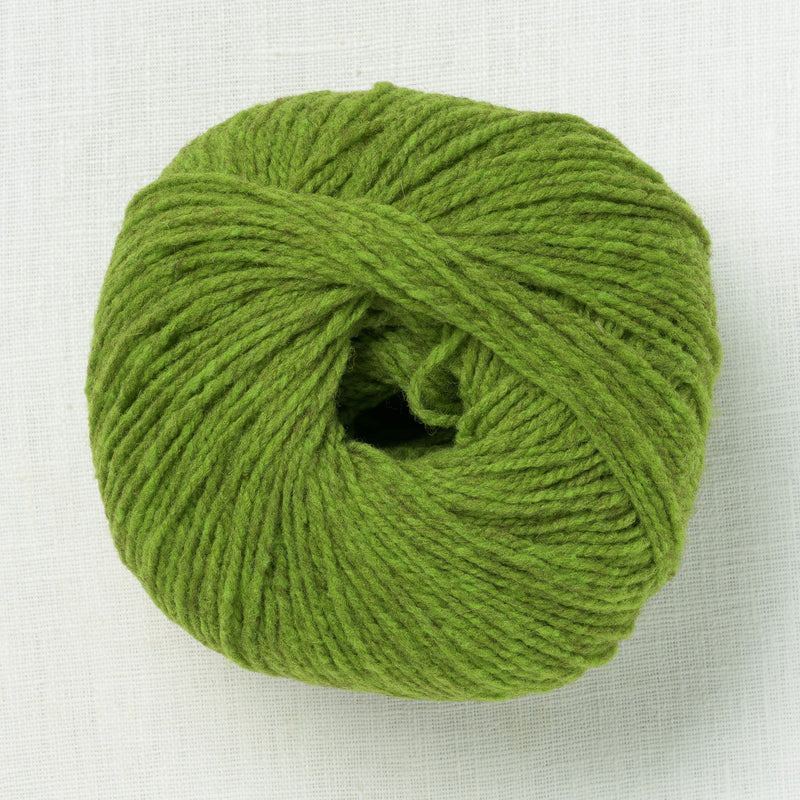 De Rerum Natura Ulysse Printemps