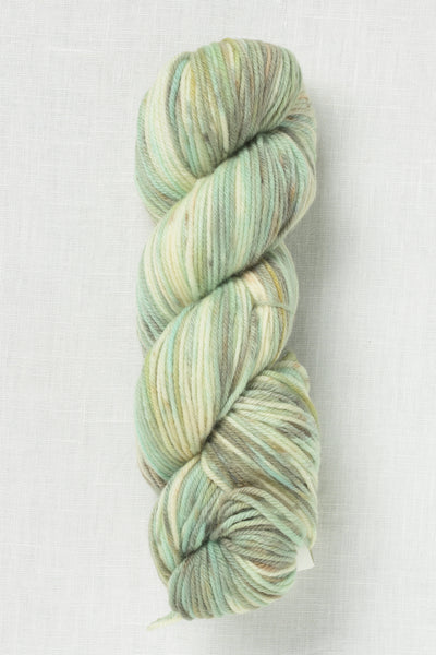 Cascade 220 Superwash Hand Paints 1023 Sage Bloom