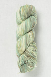 Cascade 220 Superwash Hand Paints 1023 Sage Bloom