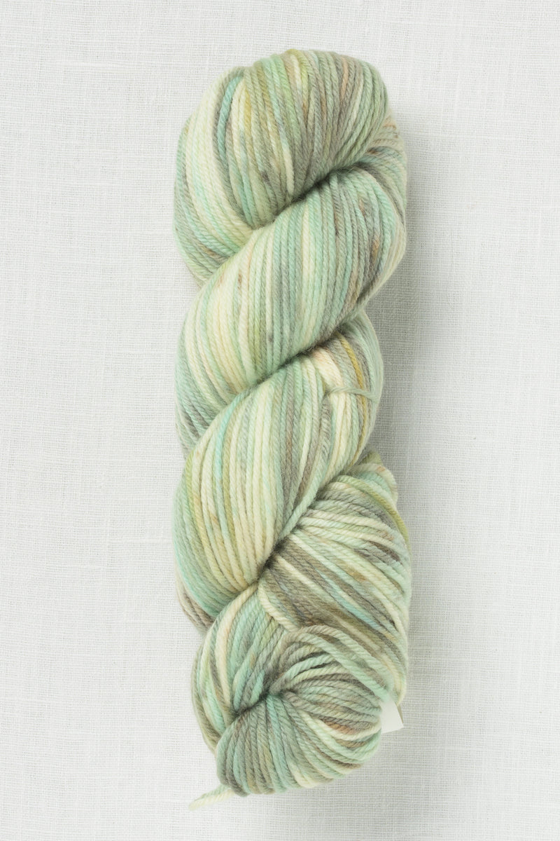Cascade 220 Superwash Hand Paints 1023 Sage Bloom