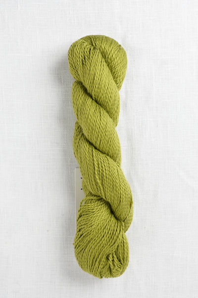 Amano Sami 1804 Moss