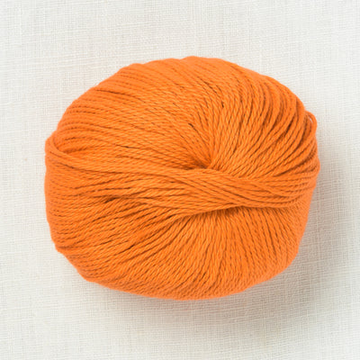 Pascuali Cumbria 311 Turmeric