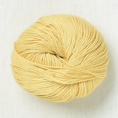 Pascuali Cumbria 303 Buttercup