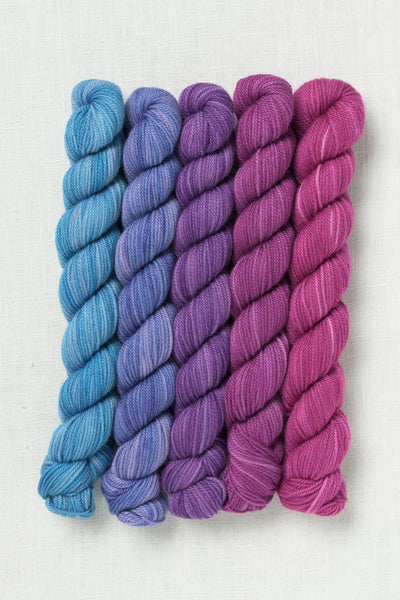 Sweet Georgia Party of Five Tough Love Sock Mini Skein Set Garden Party