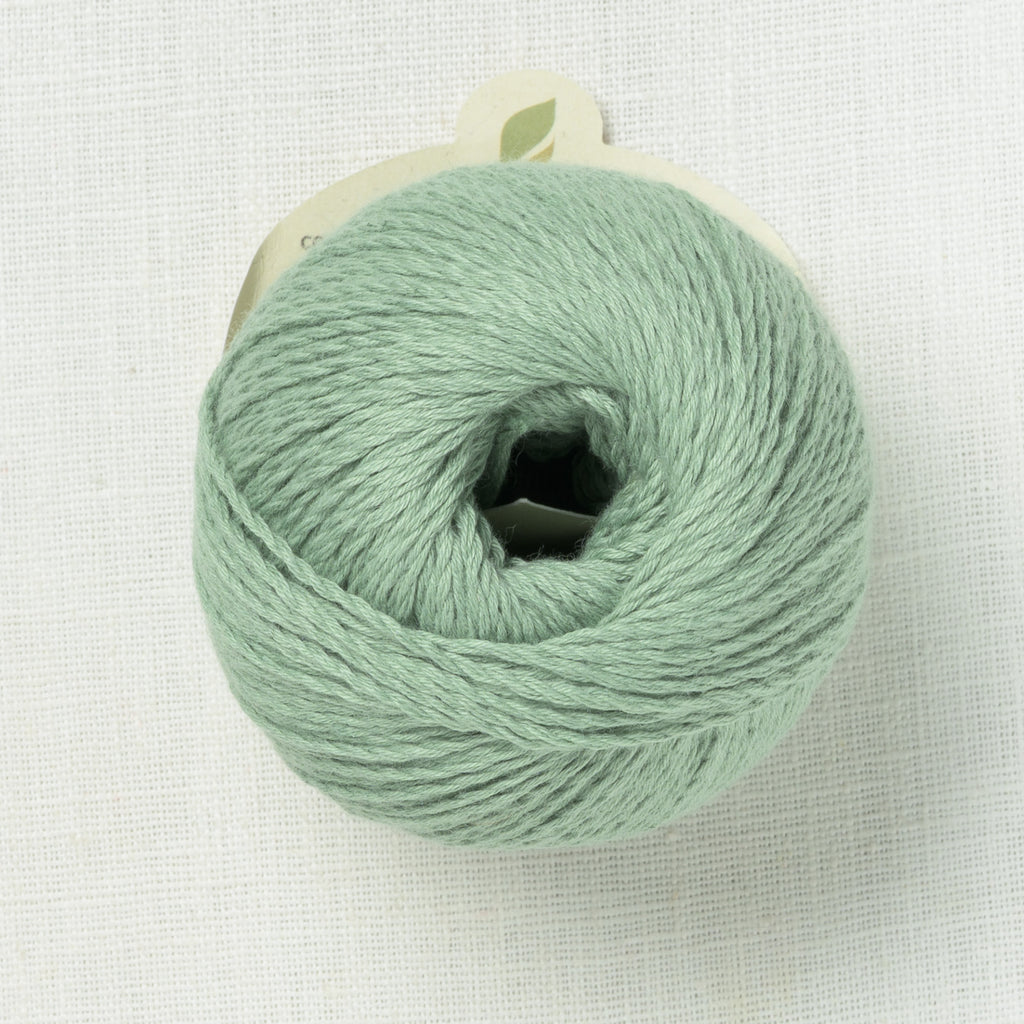 Pascuali Sole 49 Agave