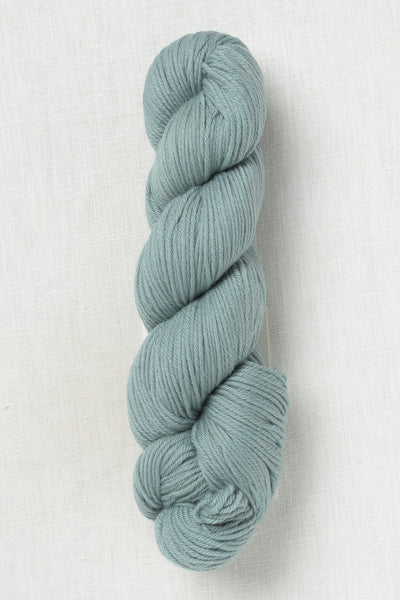 Rosy Green Wool Lovely Merino Treat 149 Dragonfly