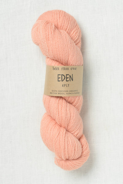 Baa Ram Ewe Eden 4 Ply Alpenglow