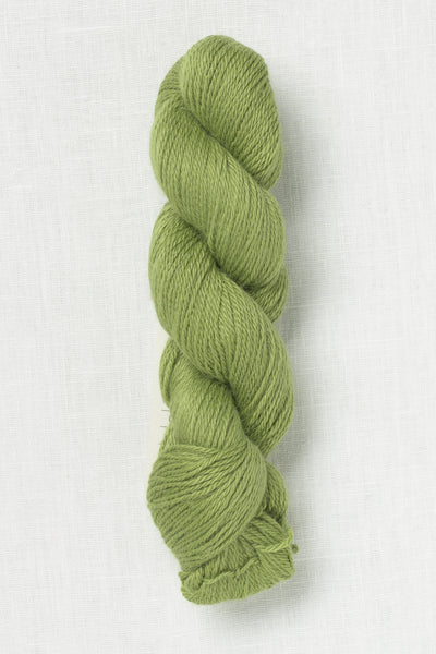 Amano Ayni 5035 Fresh Mint