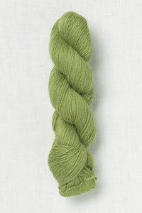 Amano Ayni 5035 Fresh Mint