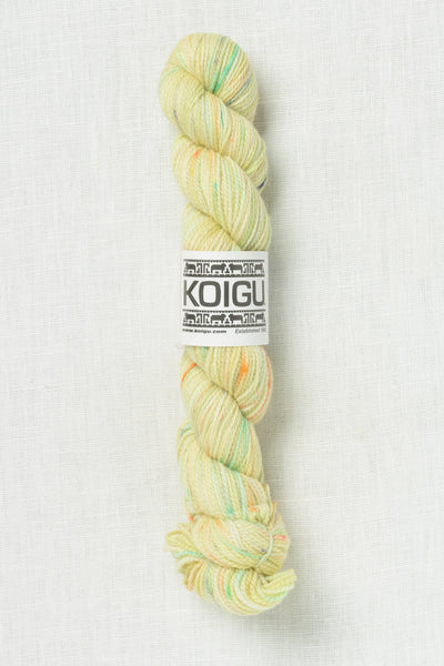 Koigu Painter's Palette Premium Merino KPPPM P344