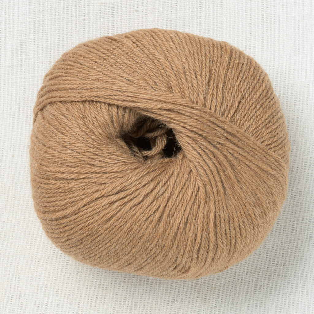 mYak Baby Camel Gobi