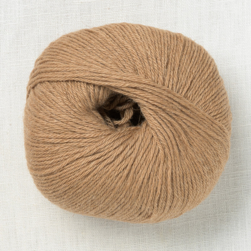 mYak Baby Camel Gobi