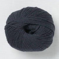 Cascade 220 Superwash 417 Borealis Heather