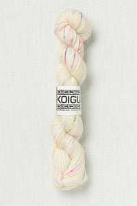 Koigu Painter's Palette Premium Merino KPPPM P204C