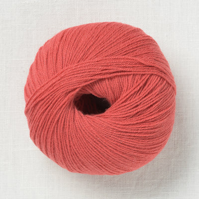 Knitting for Olive Merino Watermelon